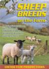 SHEEP BREEDS On The Farm