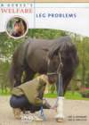 A HORSE'S WELFARE Leg Problems