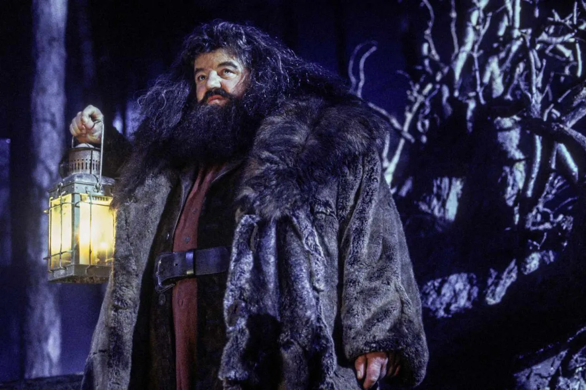 Robbie Coltrane